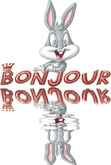 bonjour bunny