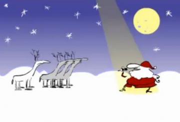 c noel