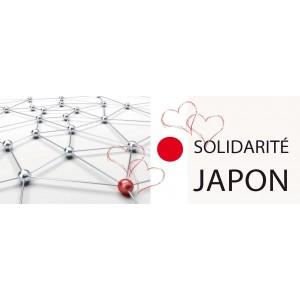 don-solidarite-japon