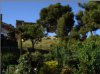 gite luberon 2