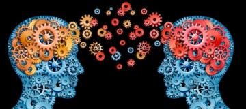 management-collaboratif